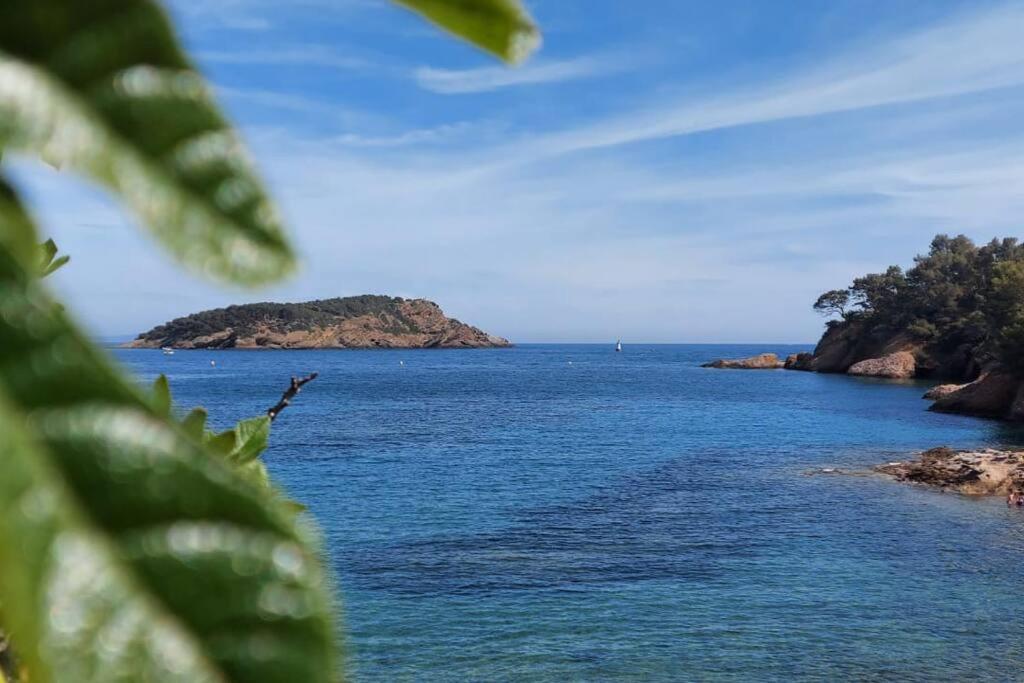 Sea View Climatise Terrasse Vue Mer Parking By Laconciergerie13 Λα Σιοτά Εξωτερικό φωτογραφία